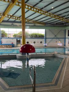 a swimming pool with a red mushroom in the water at Paws a while in Mainsriddle