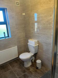 a bathroom with a toilet and a window at Bragan Mountain View in Monaghan +11 photos