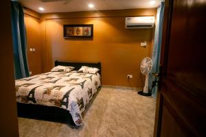 a bedroom with a bed and a fan at Classic Apartment at Tema Community 26 in Tema