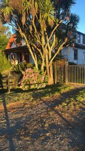 a house with a palm tree and a fence at Hostal Los Riscos in Llanquihue