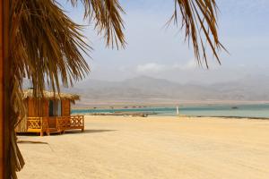 a beach with a hut and the ocean in the background at Dagal Camp - دجل كامب in Sharm El Sheikh