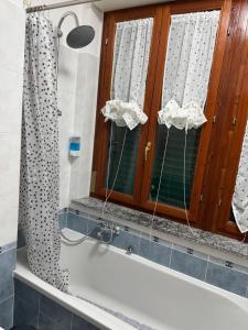 a bathroom with a shower and a tub with a mirror at Karen Sofia Modern Appartament in Opera