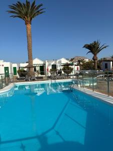 a swimming pool with a palm tree in the background at CASA MACA sea view & beach front in Puerto del Carmen