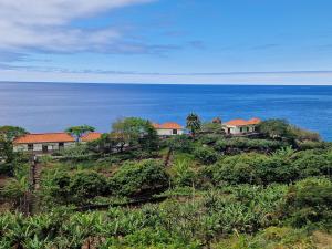 a group of houses on a hill near the ocean at Faja dos Padres in Ribeira Brava