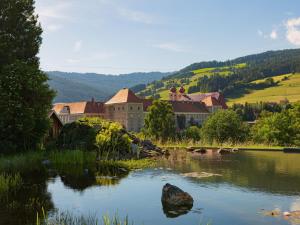 a view of a river with buildings and a town at Winzerchalet in Sankt Lambrecht