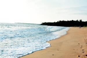 a beach with the ocean and trees in the background at KK Heritage in Kannur +3 photos