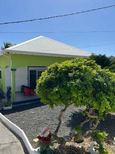 a small house with a tree in front of it at Bel Horizon in La Désirade