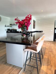 a kitchen with a counter with a vase with red flowers at Kahlúa Suites in Grote Berg