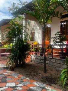 a house with two palm trees in front of it at Homsetay Đồng Phát in Ấp Thiện Phước