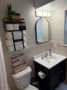 a bathroom with a toilet and a sink and a mirror at Chic & Comfy Apartment in Elizabethport +19 photos