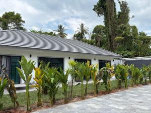 a house with a row of plants in front of it at Tiger on the Beach in Krabi