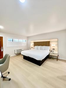 a large bedroom with a large bed and a chair at Nob Hill Motor Inn -Newly Updated Rooms! in San Francisco