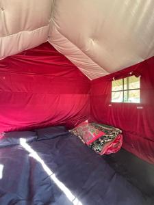 a large red tent with a bed in it at Paradise Camping Apple Orchard in Manīkaran