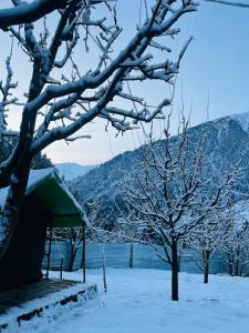 a snowy field with two trees and a building at Paradise Camping Apple Orchard in Manīkaran +11 photos