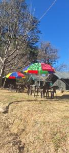 two picnic tables with umbrellas in a field at Paradise Camping Apple Orchard in Manīkaran