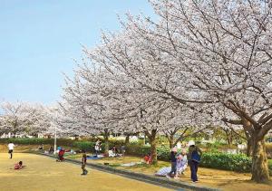 a group of people standing under a flowering tree at 京都 大阪アクセス良好の和モダン民泊 静かで快適な宿泊施設です 京阪本線楠葉駅から徒歩圏内 急行特急停車駅で京都へ約30分 大阪へ約40分とアクセス良好です in Hirakata