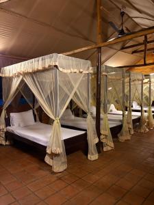 a bedroom with two beds in a tent at The Cove Pasikuda - Eco Retreat in Pasikuda +60 photos