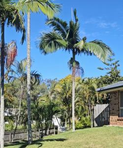 a group of palm trees in front of a house at Aztec Adress 133 Beckett Road, mixed shared accommodation in Brisbane