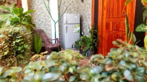 a small refrigerator next to a door with plants at Hushwood ELLA in Ella