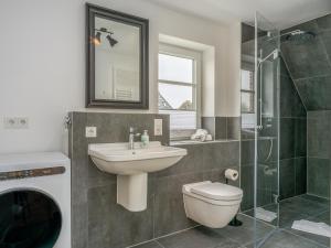 a bathroom with a sink and a toilet and a shower at Dorfhüs 1 in Tinnum