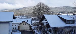 a town covered in snow with mountains in the background at Auszeit by Annette in Hohenwarth