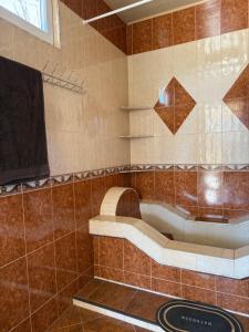 a bathroom with a shower with brown tile at The Bondo's Villa in Kobuleti
