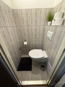 a bathroom with a toilet in a small room at CENTRUM Apartman in Sárospatak