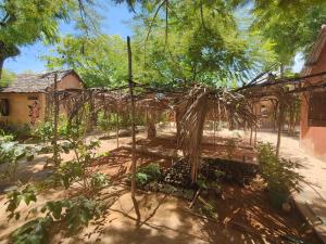 a garden with a bench and trees and a building at Auberg'inn in Toliara