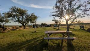 a picnic table in a field with a tree at Ferienhof Löbejün in Löbejün