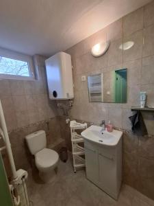a bathroom with a toilet and a sink at Napvirág - Közel mindenhez in Balatonakarattya +36 photos