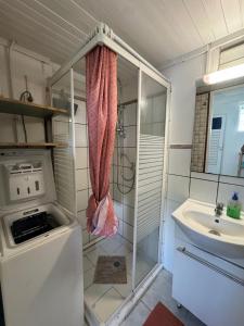 a small bathroom with a sink and a washing machine at Ti Kaz in Petit-Bourg +25 photos