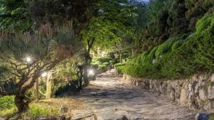 a dirt road with trees and lights on it at Pocheon luxjay pet Pension in Pocheon