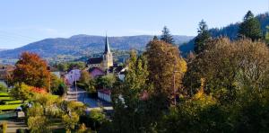 a small town with a church in the mountains at Le Gite des Fleurs in Ramonchamp