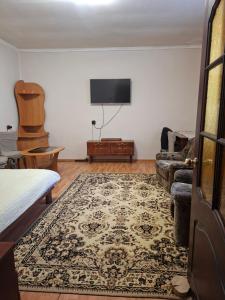 a living room with a couch and a tv at Садиба в Бабаєво in Perechin