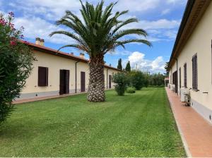 a palm tree in a yard next to a building at Agriturismo il Tripesce in Vada