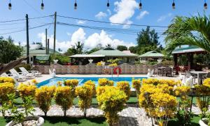 a pool with yellow flowers in a yard at Leo Selfcatering in Baie Sainte Anne