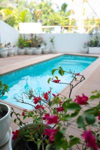 a swimming pool with pink flowers in front of it at Rasgrand in Rasdhoo