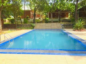 a large swimming pool with blue water in a yard at Villa viverra in Polonnaruwa +23 photos