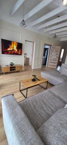 a living room with two couches and a fireplace at Žvejų gatvė 1-2 in Telšiai