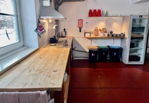 a kitchen with a wooden counter and a refrigerator at Rinkenæshus Hytte A in Gråsten