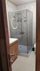 a bathroom with a shower with a sink and a toilet at Немирівель in Nemirov +36 photos