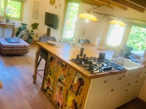 a kitchen with a stove and a counter top at Chalet La Bohème in Prouilly