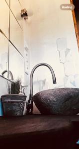 a bathroom with a stone sink and a potted plant at CzarnyGaj in Gaj