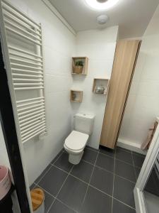 a small bathroom with a toilet and a shower at Studio loft city center in Tarnos