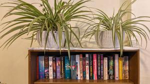 two potted plants on a book shelf with books at Nextdoor Thamel in Kathmandu