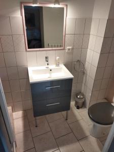 a bathroom with a sink and a mirror and a toilet at Chambres d'hôtes Mas Lassagne in Vagnas +30 photos