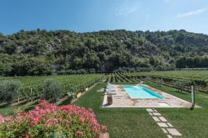 O vedere a piscinei de la sau din apropiere de Agritur Ai Masi