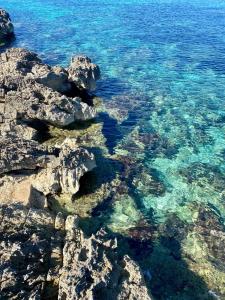 a view of the ocean with rocks and water at CasAmare in Pizzolungo
