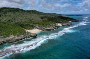 an aerial view of a beach on the coast at Chez Sanny in Mt Bois Noir