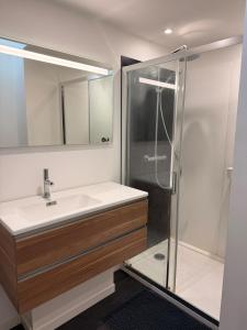 a bathroom with a sink and a shower at Granville appartement in Granville